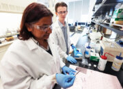 What is the most effective way to make graphene at home?