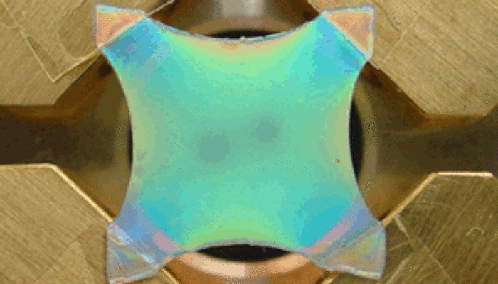 Elastic Laser Spans the Spectrum—Bending Light Breaking Rules