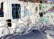 Missing in Action: A Dark Matter Deficiency That Defies Theory