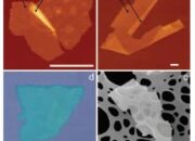 2D Atomic Crystals: Flatland Physics Comes Alive