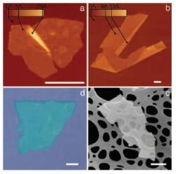 2D Atomic Crystals: Flatland Physics Comes Alive
