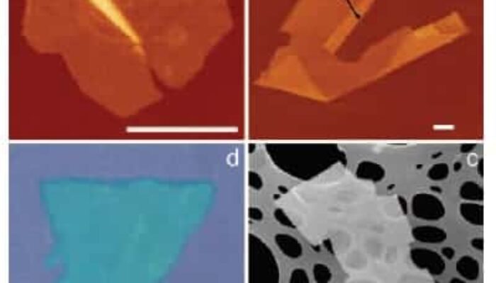 2D Atomic Crystals: Flatland Physics Comes Alive