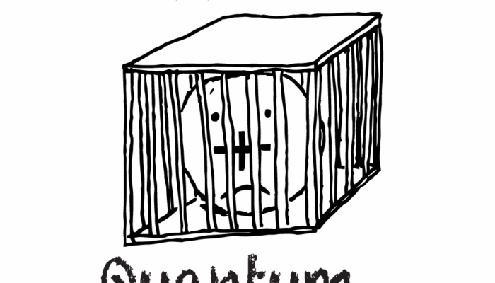 Trapped Ion Are Promising (clever design)?