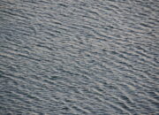 What are some good resources for learning about wavelets?
