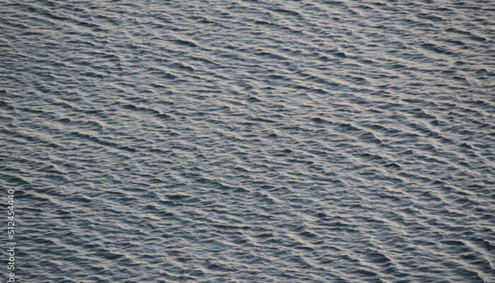 What are some good resources for learning about wavelets?