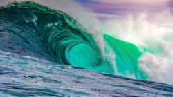 What are waves made of in quantum field theory?