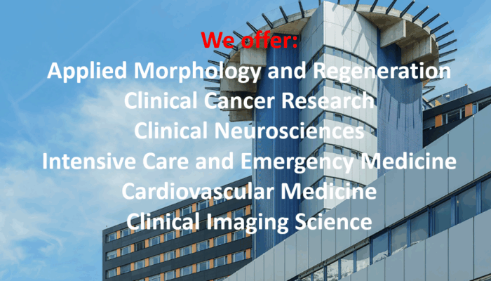 Should I do a PhD in physics or go to Med school?