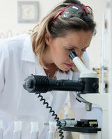 Shedding Light on Iron: New Insights into Superconductors