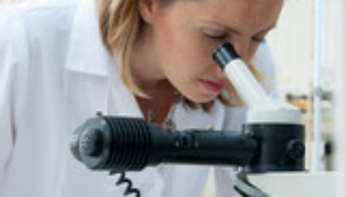 Shedding Light on Iron: New Insights into Superconductors