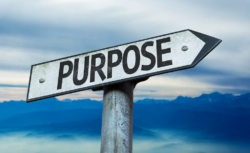 What is the purpose of neutrons