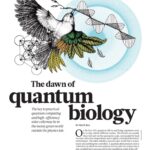 Should I Major in Biophysics? The Quantum Side of Life
