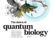 Should I Major in Biophysics? The Quantum Side of Life