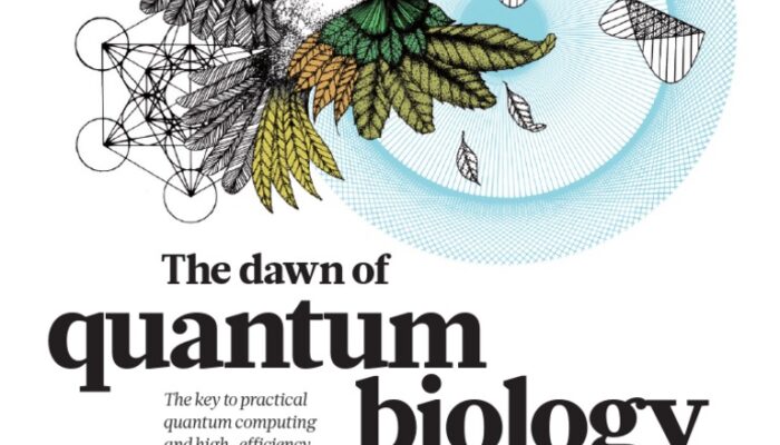Should I Major in Biophysics? The Quantum Side of Life