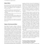 What are some of the major views of environmental ethics?