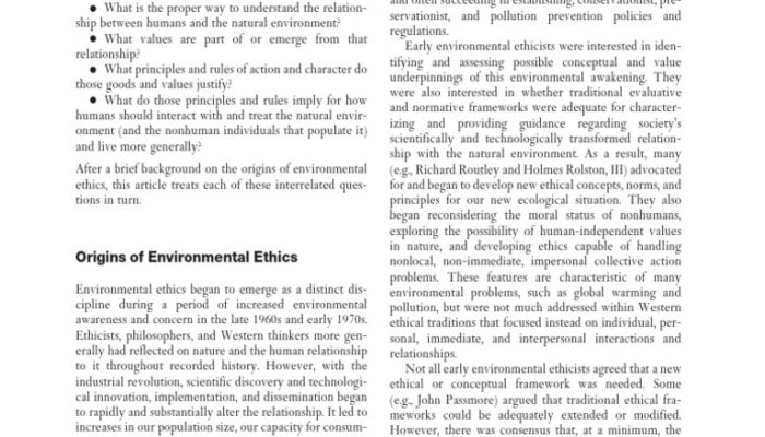 What are some of the major views of environmental ethics?