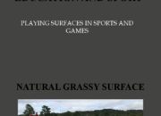 What types of surfaces are used in optical systems?