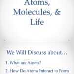 How did atomic molecules come together to create life?