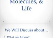 How did atomic molecules come together to create life?