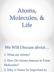 How did atomic molecules come together to create life?