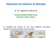 ¿Para qué se utilizan matrices en Química?