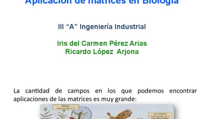 ¿Para qué se utilizan matrices en Química?