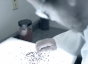 Job Prospects in Biophysics: A Niche Field with Expanding Horizons