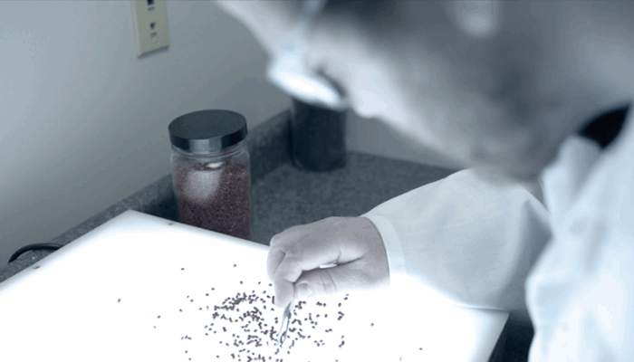 Job Prospects in Biophysics: A Niche Field with Expanding Horizons