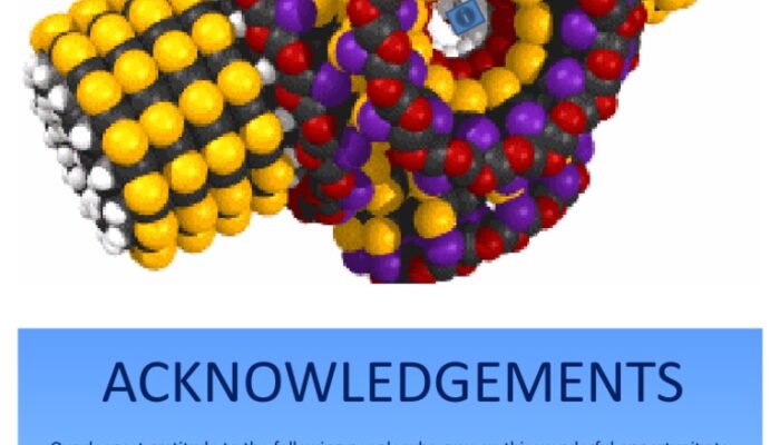 Small Returns for Nanoscience? Rethinking Big Hopes for Tiny Tech