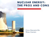 What are the pros and cons of becoming a nuclear physicist?