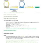 What is the central dogma of molecular biology? Is it true?