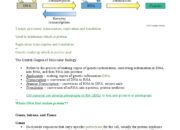 What is the central dogma of molecular biology? Is it true?