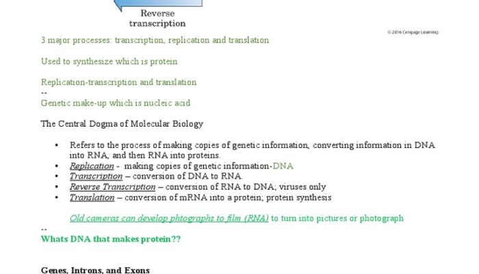 What is the central dogma of molecular biology? Is it true?