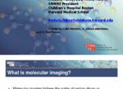 What is the role of radiation in nuclear medicine?