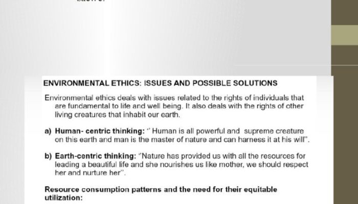 What are the current issues in environmental ethics?