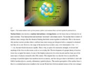 What are the origins of nuclear forces?
