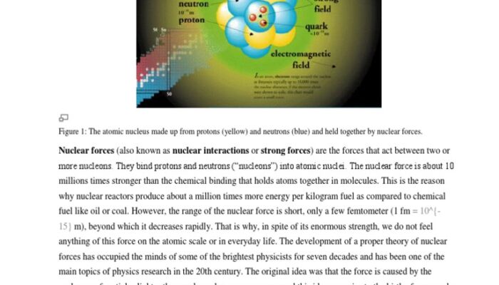 What are the origins of nuclear forces?