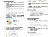 What is central dogma molecular biology?