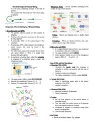 What is central dogma molecular biology?