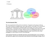 What are the issues of the pillars of sustainability?