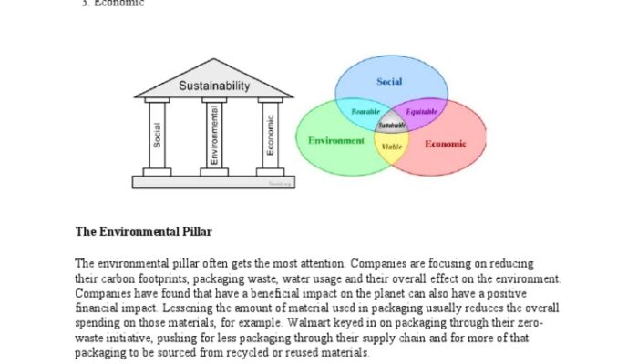 What are the issues of the pillars of sustainability?