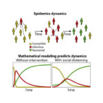 What is a mathematical model?