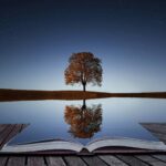 How would reflection laws work at the atomic level?
