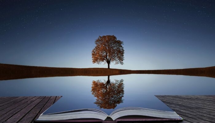 How would reflection laws work at the atomic level?