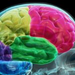 Layman’s Guide to Condensed Matter: Books That Don’t Hurt Your Brain