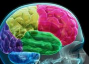 Layman’s Guide to Condensed Matter: Books That Don’t Hurt Your Brain