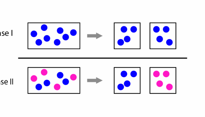 A Nobel for Communism: Politics Particles and Paradox