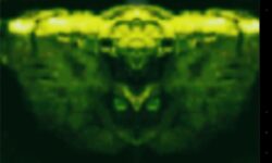 What kind of technology would 2-dimensional beings have?