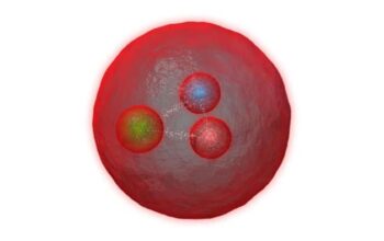 The LHCb’s First Look at a Doubly Charmed Baryon