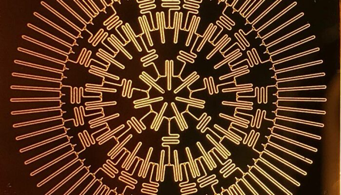 What Happens to Your Passwords in a Quantum Future?