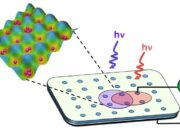 How efficient are Bose-Einstein Condensate as Qubits?